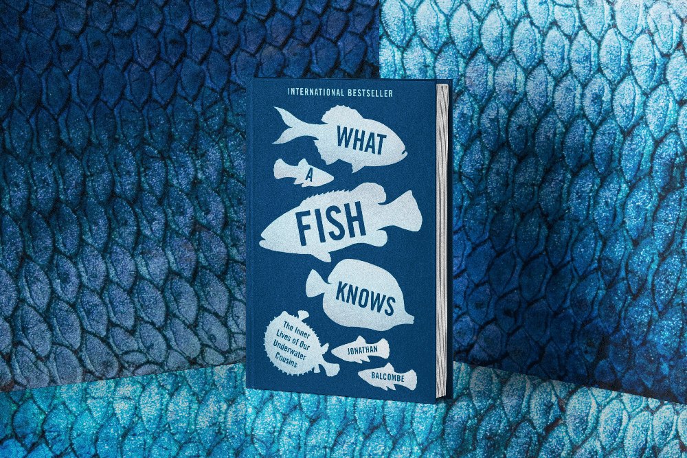 Что знает рыба
